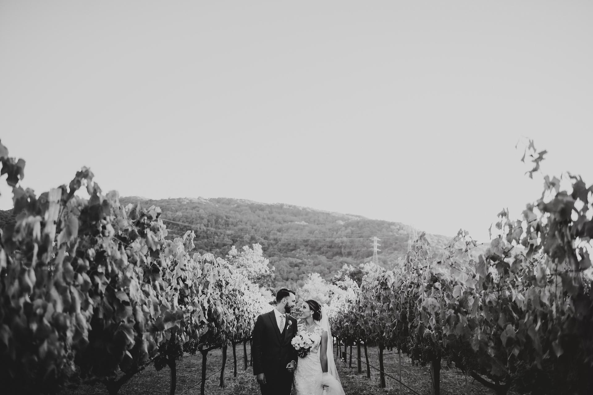 Sycamore Creek Vineyards Wedding Morgan Hill California